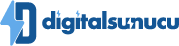 DigitalSunucu logo